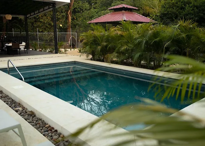 Hébergement de vacances Jungle Garden Loft Coco