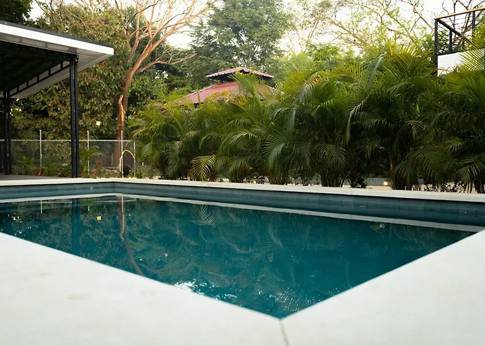 Jungle Garden Loft Hébergement de vacances Coco