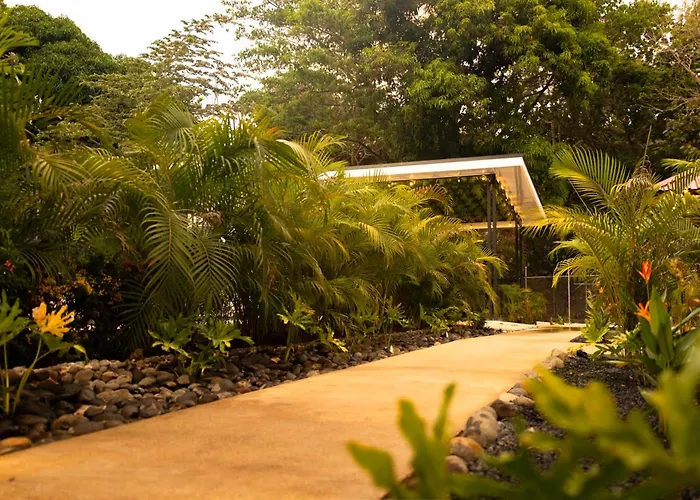 Jungle Garden Loft Hébergement de vacances *